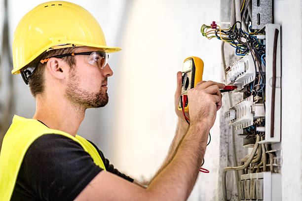 Best Electrical Panel Upgrades  in Burt, MI